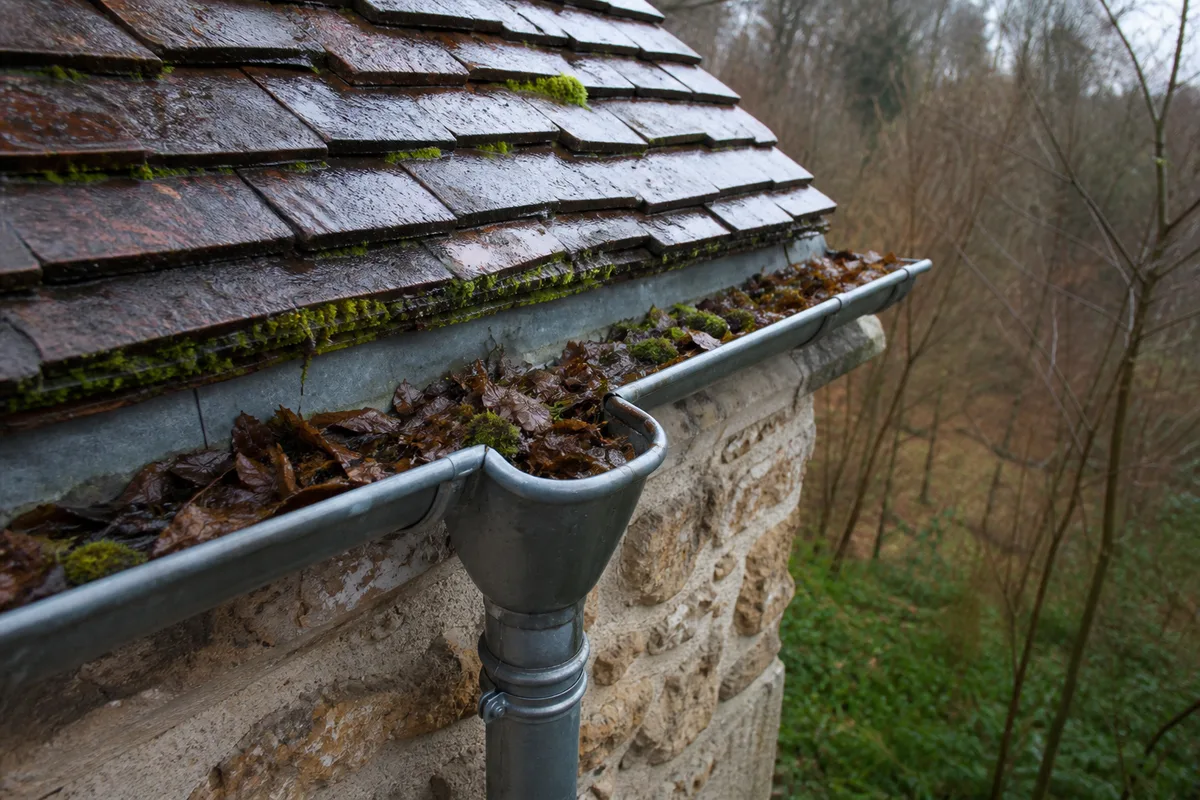 Gouttière encombrée de feuilles mortes sur une toiture pavillonnaire francilienne en automne