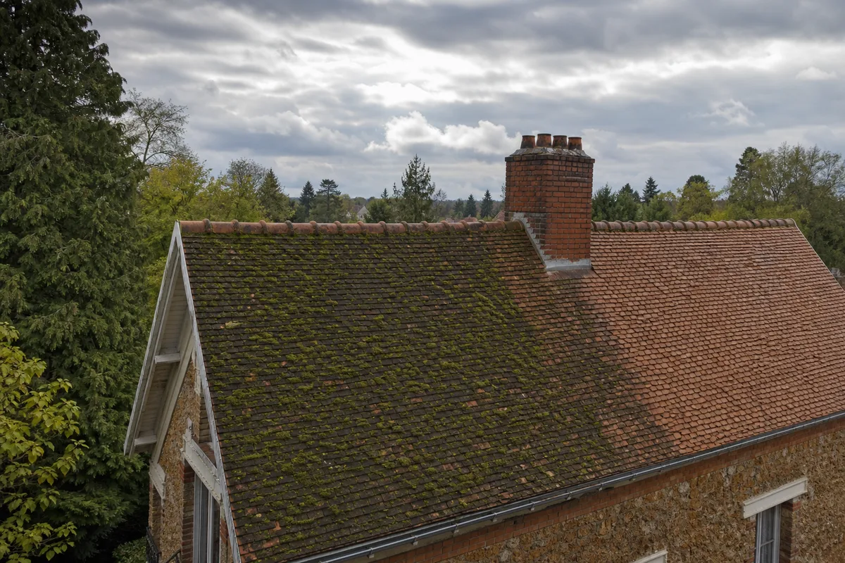 Entretien et démoussage de toiture dans les Yvelines (78)