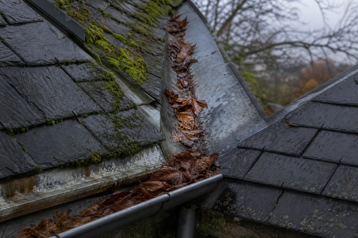 Noue en zinc et gouttière encombrées de feuilles mortes sur une toiture d&rsquo;ardoise en Île-de-France