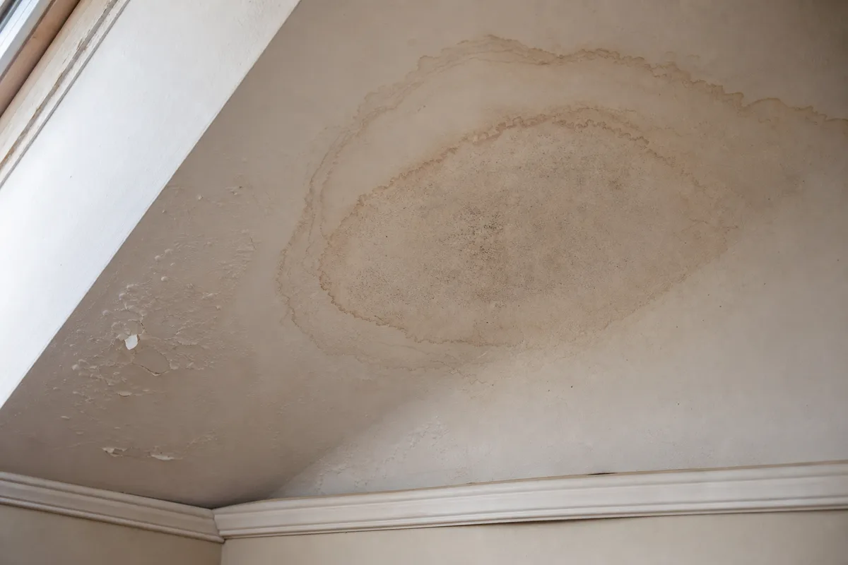 Auréole d&rsquo;infiltration brune au plafond d&rsquo;une chambre sous combles dans un pavillon francilien